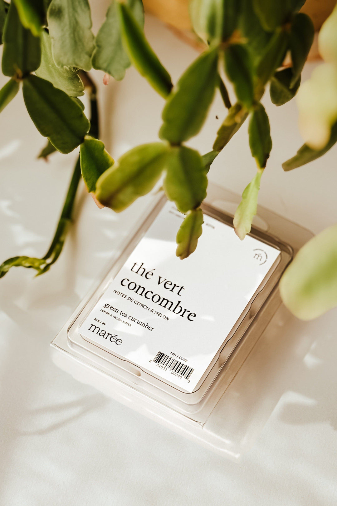 Cubes - tous les produits