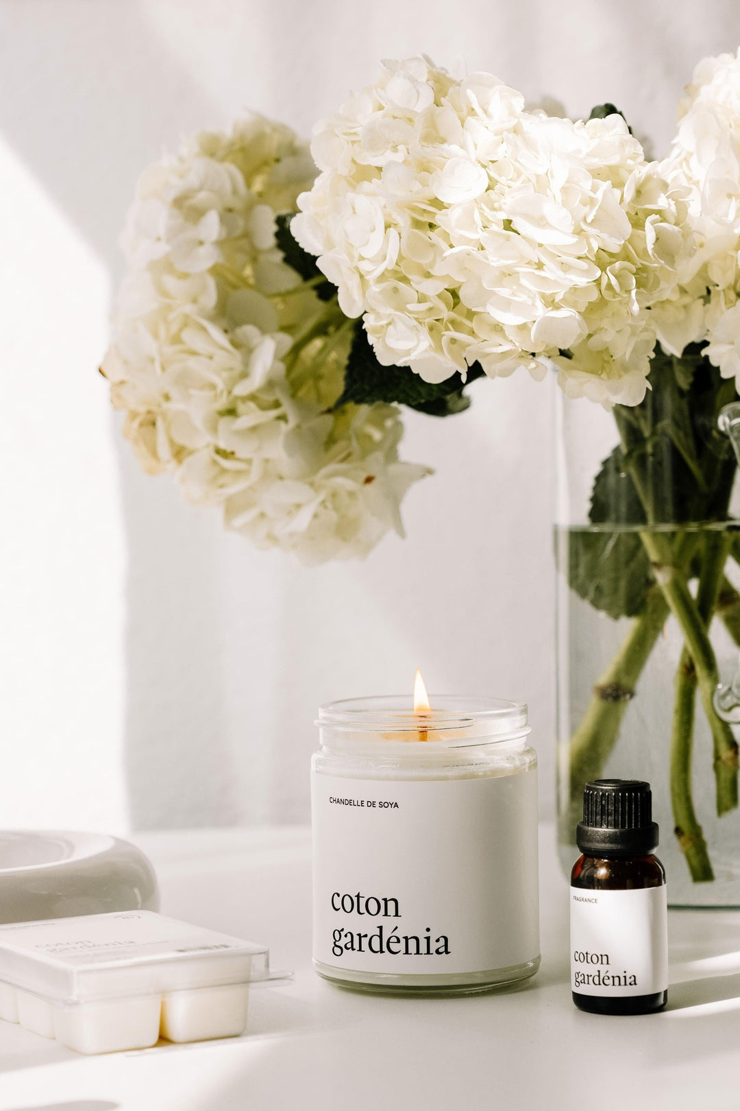 Coton gardénia - Tous les produits
