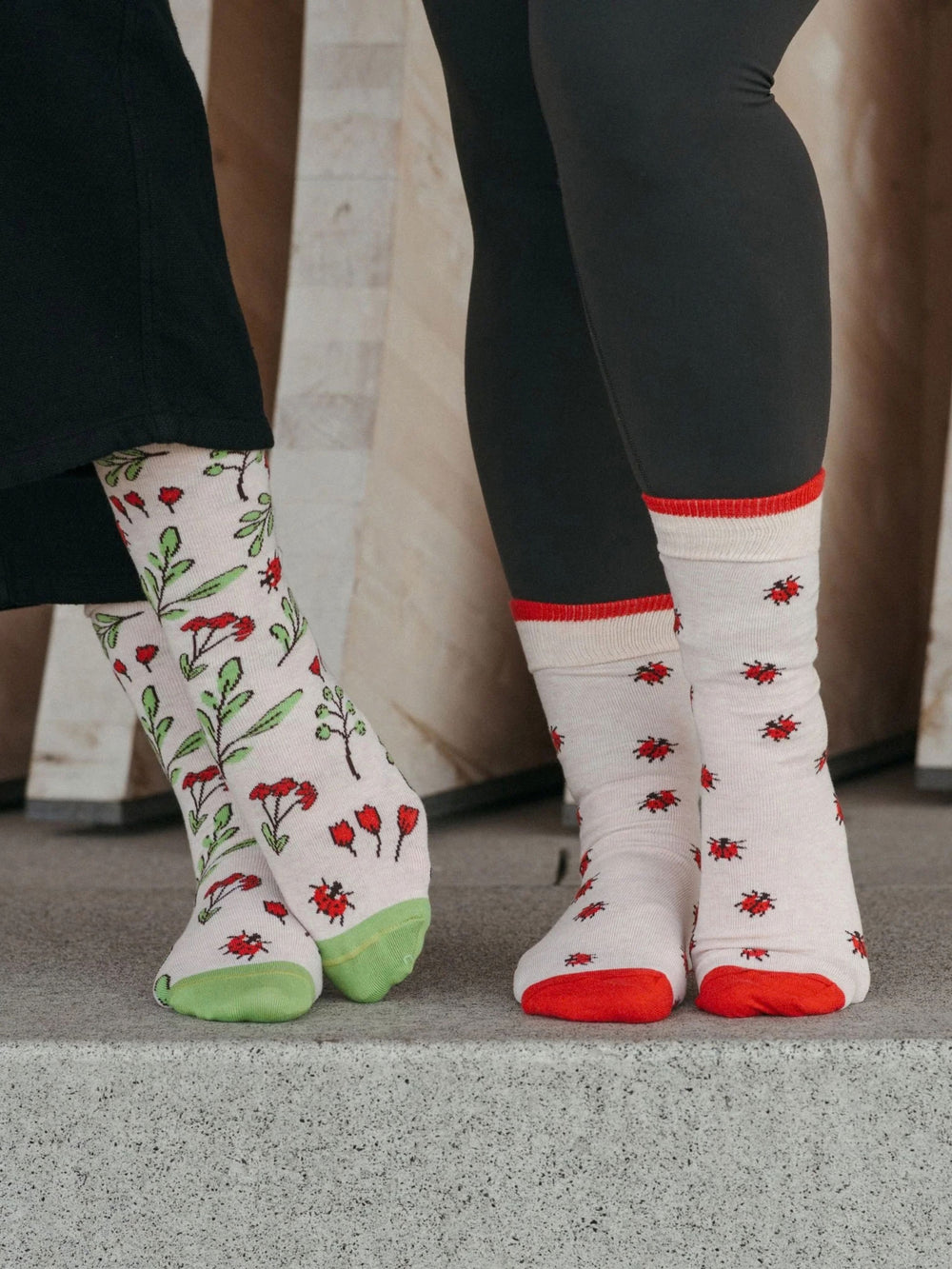 Ensemble de chaussettes - Coton Pima - Pokoloko - Ladybug Pokoloko 