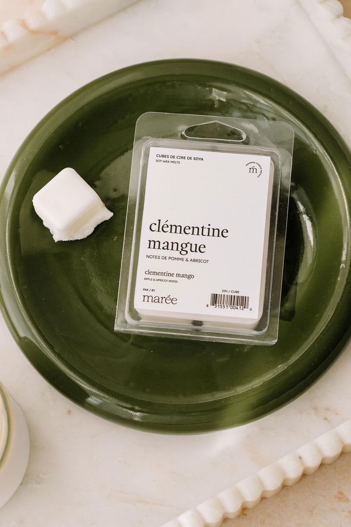CUBES DE CIRE DE SOYA POUR DIFFUSEUR - Clémentine mangue
