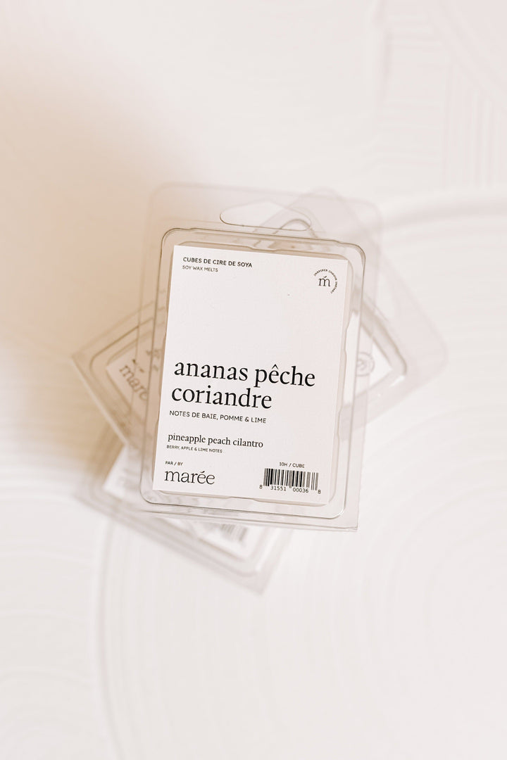 CUBES DE CIRE DE SOYA POUR DIFFUSEUR - Ananas pêche coriandre
