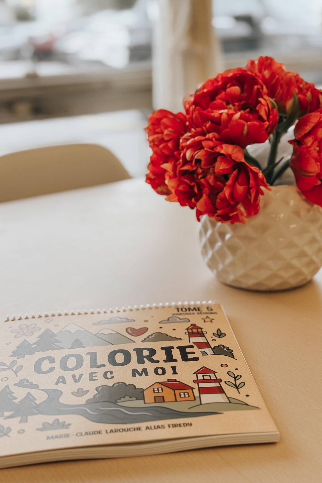 Cahier à colorier - Firedy - Tome 5 - Joyeuses régions Firedy 