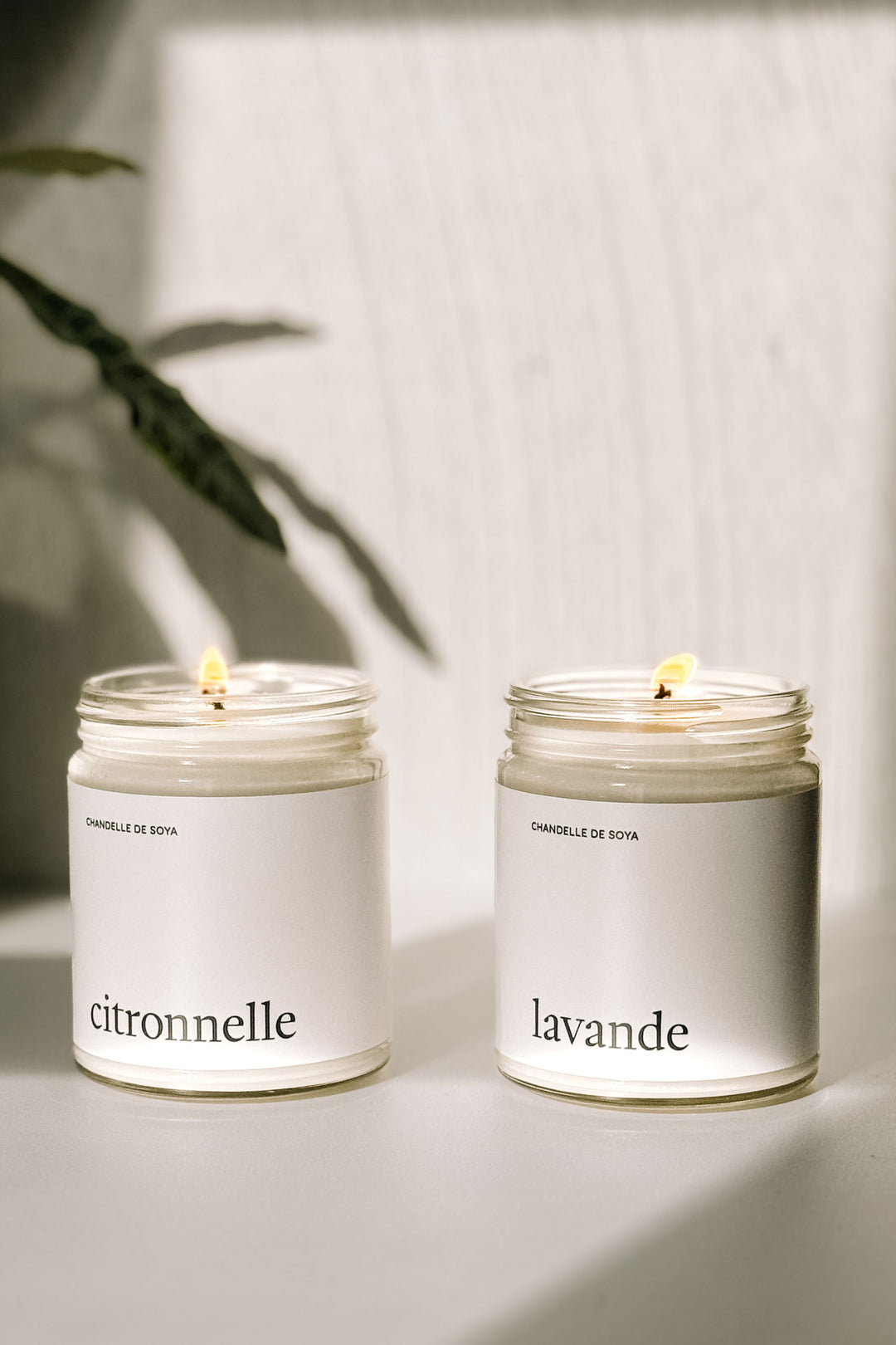 Duo de chandelles extérieures - Citronnelle et Lavande Marée - Chandelles 