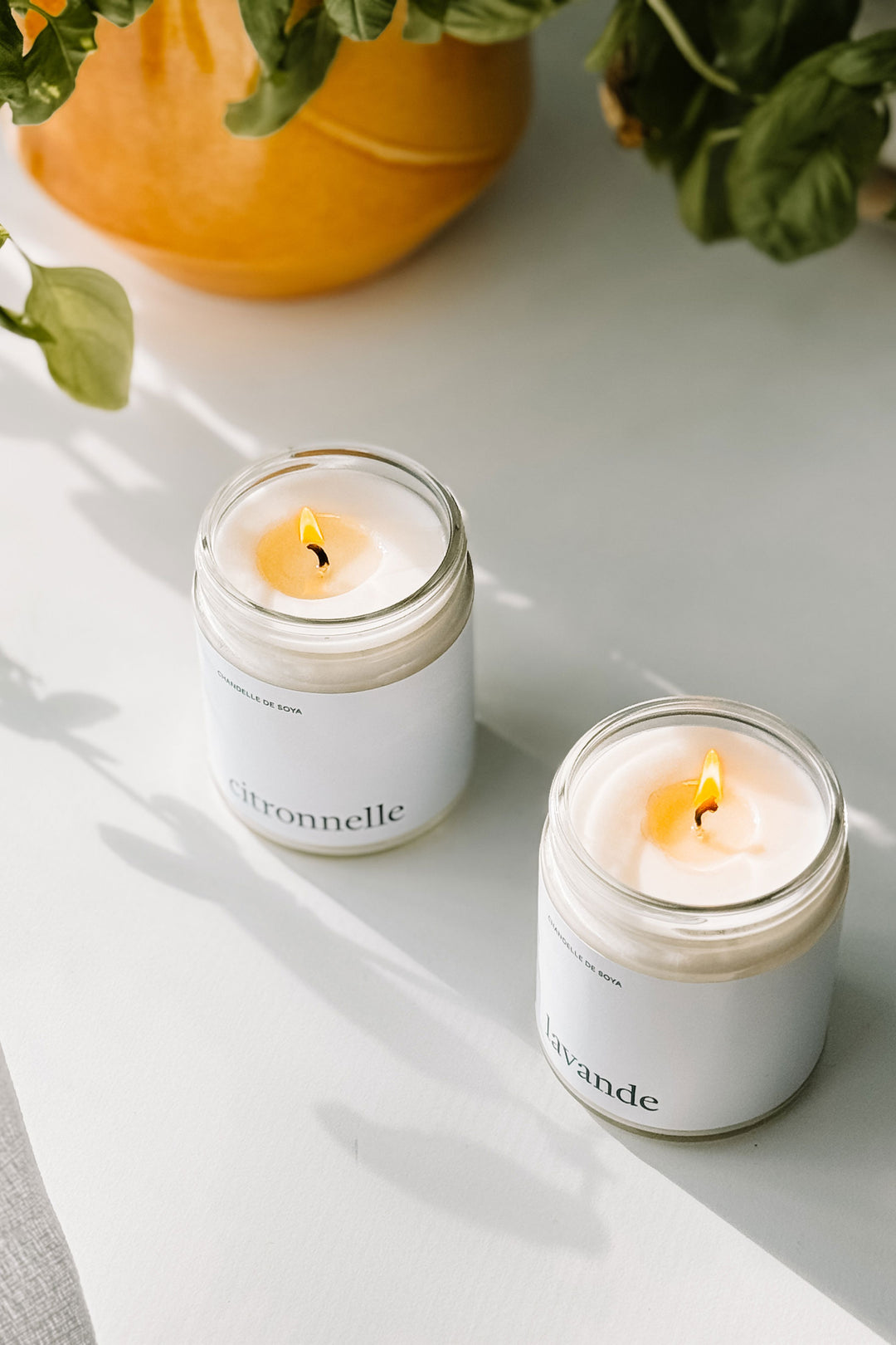 Duo de chandelles extérieures - Citronnelle et Lavande Marée - Chandelles 