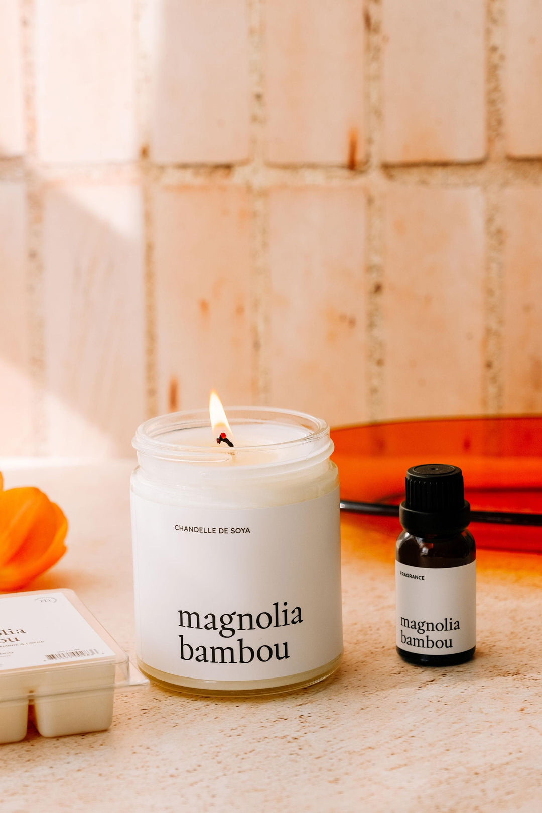 ENSEMBLE DÉCOUVERTE - Magnolia bambou Marée - Chandelles 