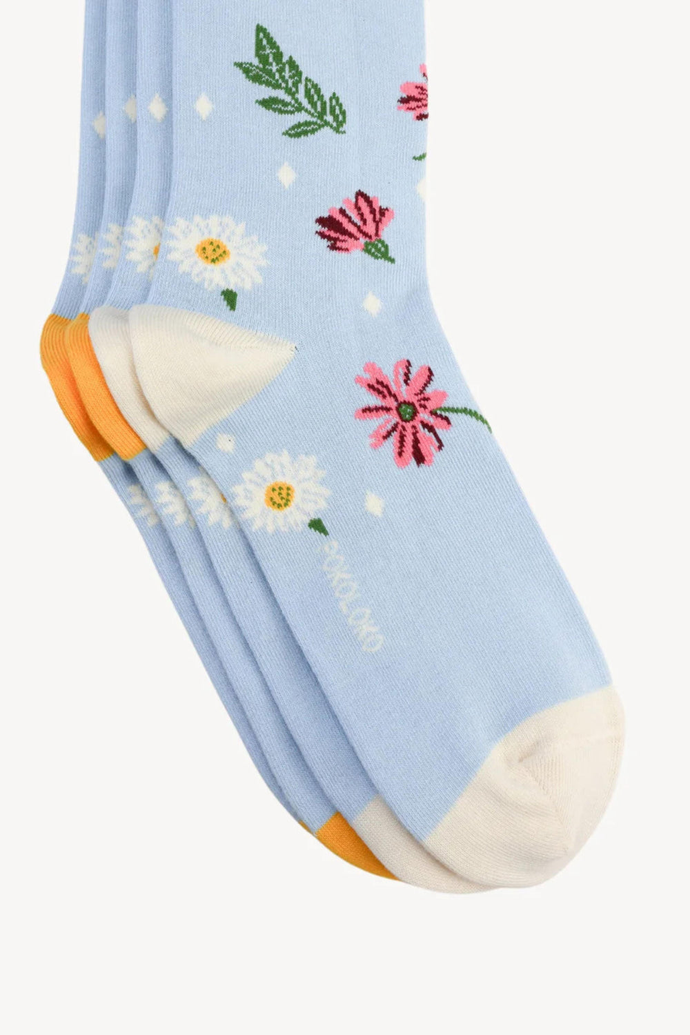 Chaussettes - Coton Pima - Pokoloko - Daisy days Pokoloko 