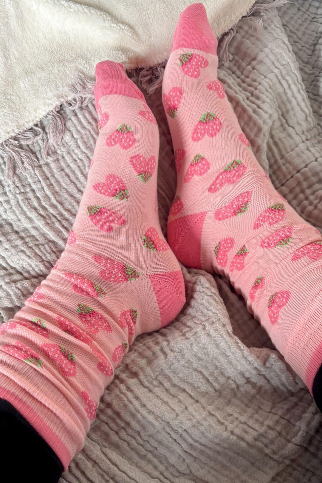 Ensemble de chaussettes - Coton Pima - Pokoloko - Fraises Pokoloko 