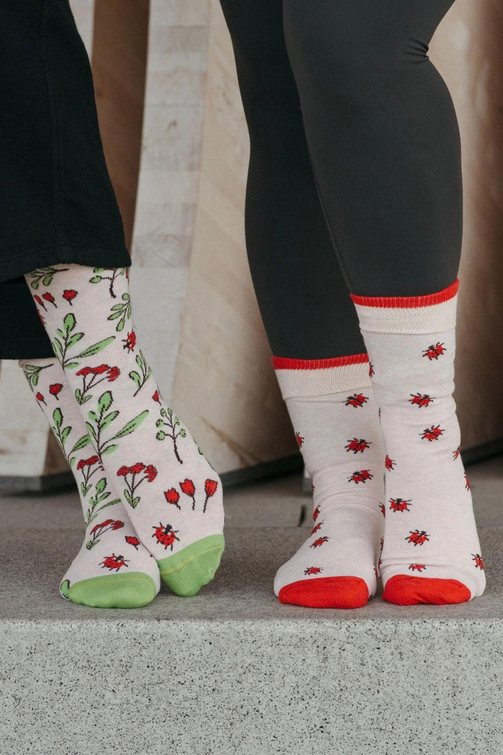 Ensemble de chaussettes - Coton Pima - Pokoloko - Ladybug