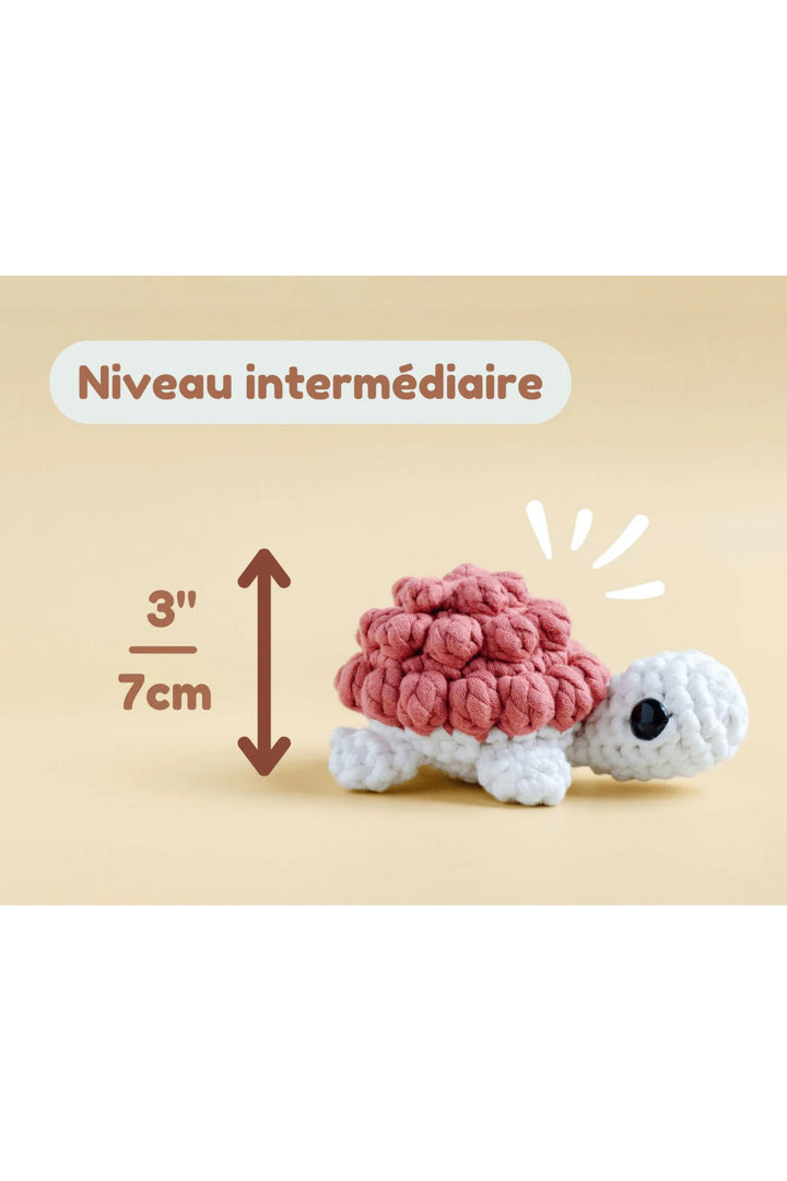Ensemble de crochet - Crochetmilie - Niveau 3 - La tortue Crochetmilie 