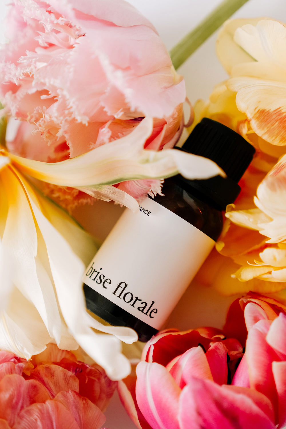 FRAGRANCE POUR BALLE DE SÉCHAGE - Brise florale Lessive Marée - Chandelles 