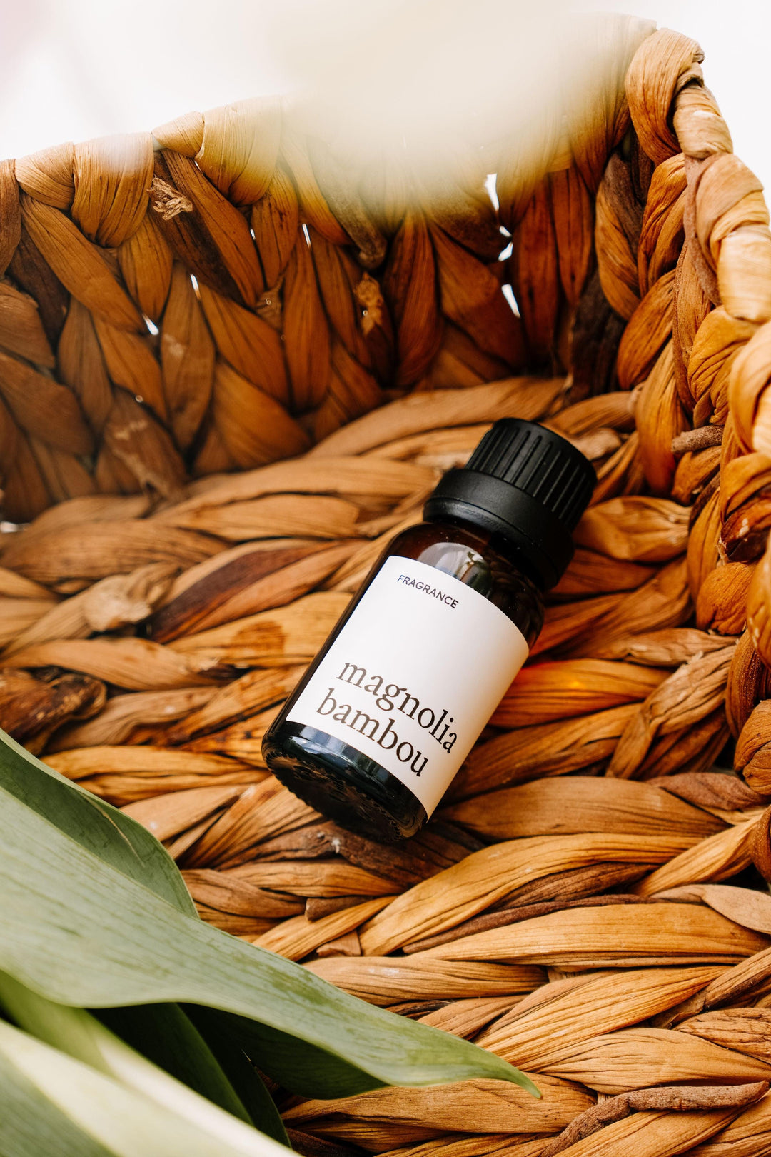 FRAGRANCE POUR BALLE DE SÉCHAGE - Magnolia bambou Lessive Marée - Chandelles 
