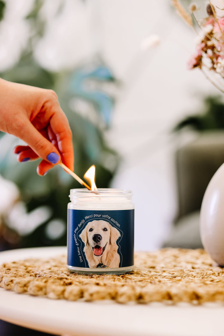 CHANDELLE DE SOYA - Sapin - Une lueur d'espoir pour Benjy Chandelles de soya Caritatif 