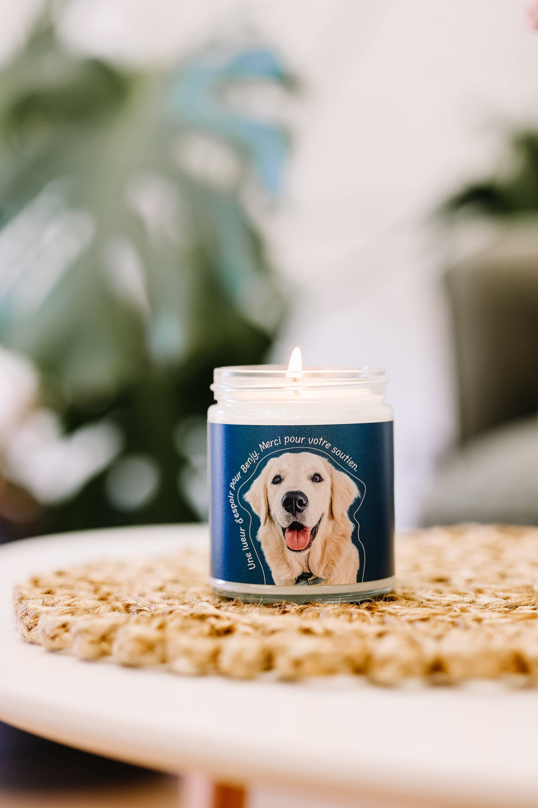 CHANDELLE DE SOYA - Sapin - Une lueur d'espoir pour Benjy Chandelles de soya Caritatif 