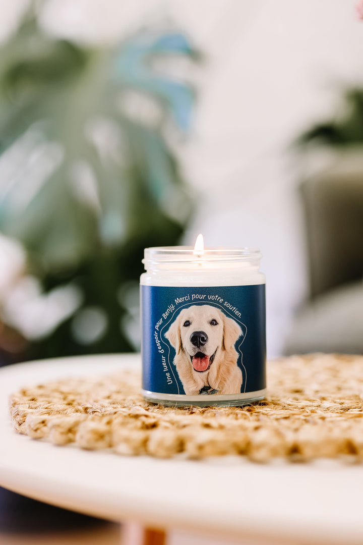 CHANDELLE DE SOYA - Sapin - Une lueur d'espoir pour Benjy Chandelles de soya Caritatif 