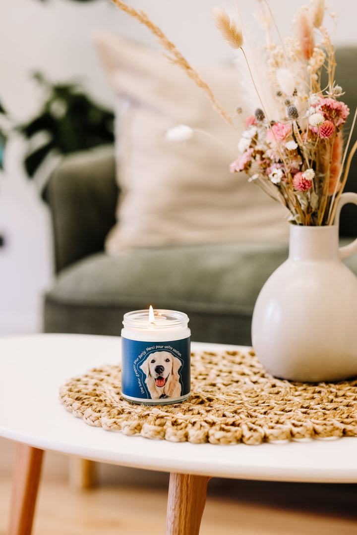 CHANDELLE DE SOYA - Sapin - Une lueur d'espoir pour Benjy Chandelles de soya Caritatif 