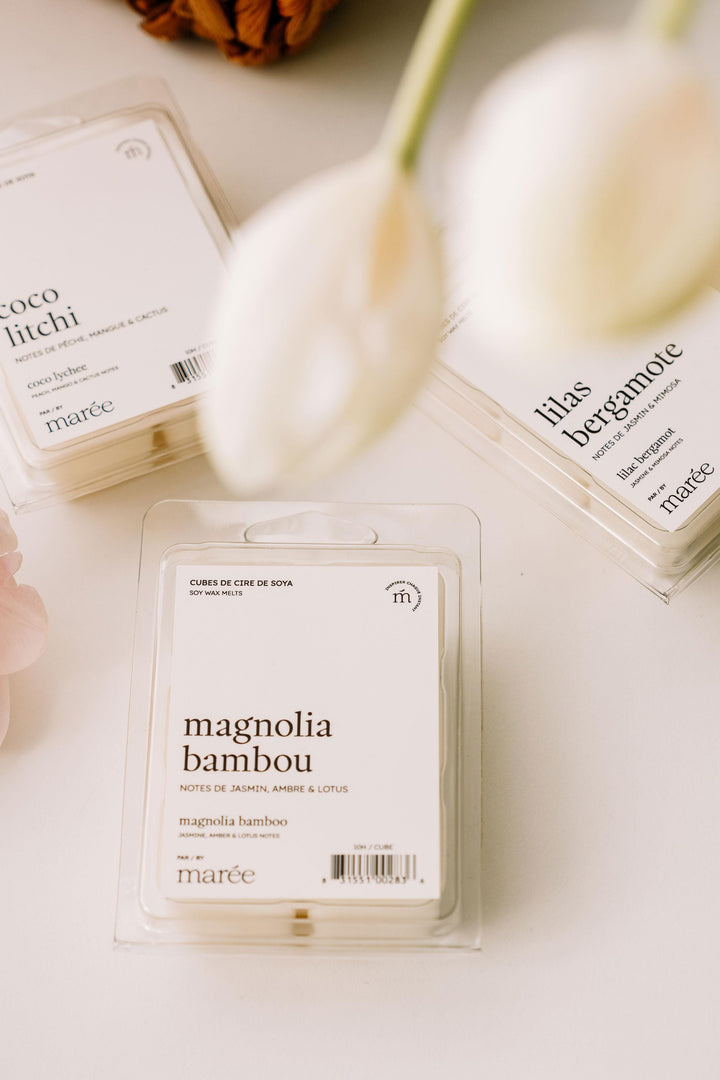 TRIO DE CUBES DE CIRE - Lilas bergamote / Magnolia bambou / Coco litchi Marée - Chandelles 