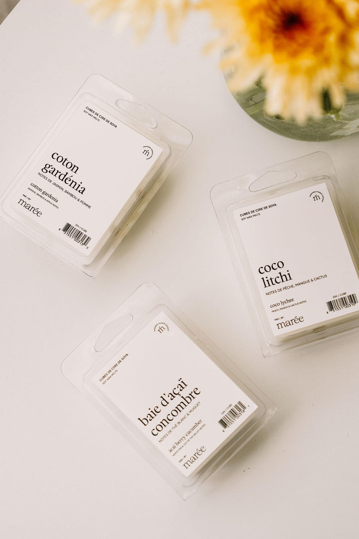 Trio de cubes de cire - Coton gardénia/Baie d'açaï concombre/Coco litchi